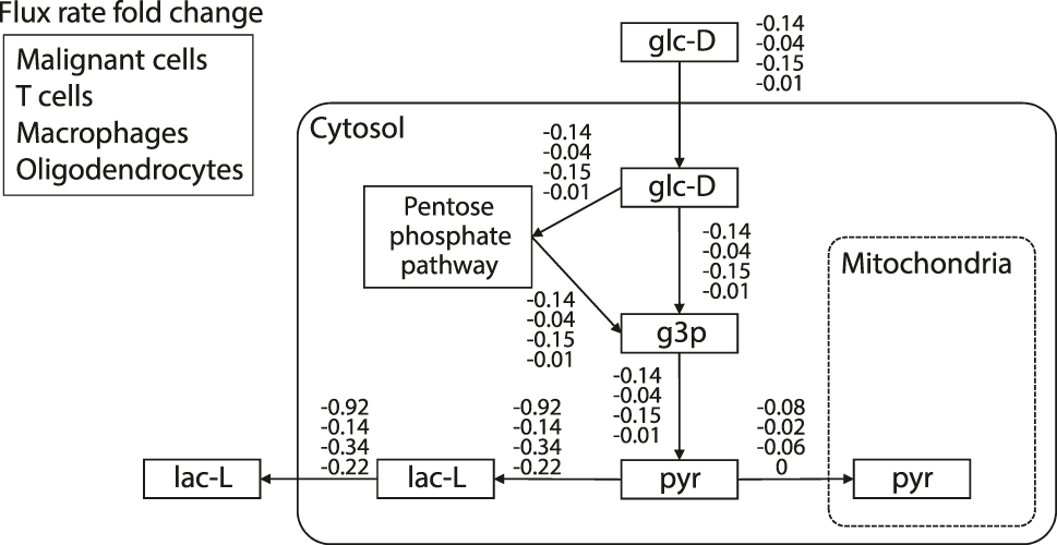 Figure 6: 
The inferred relative flux changes for each of the four cell-types after inhibition of Enzalutamide (targets AR) and Niclosamide (targets STAT3).
