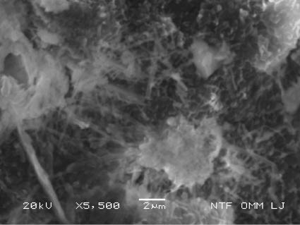 Figure 6 Micro fractography of the sample CI with ettringite crystals on a porous site; SEM, SEI.