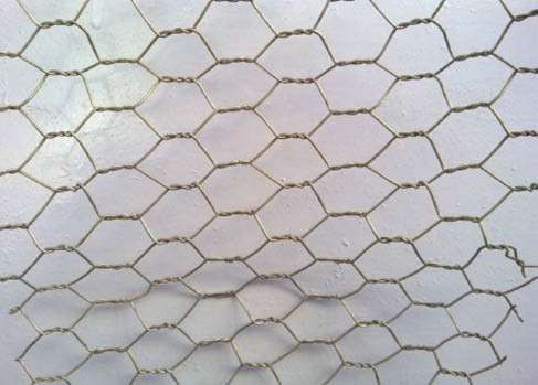 Figure 2 Chicken mesh.
