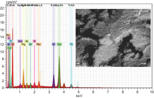 Figure 1 Elemental analysis and scanning electron microscopy images of reed chip ash.