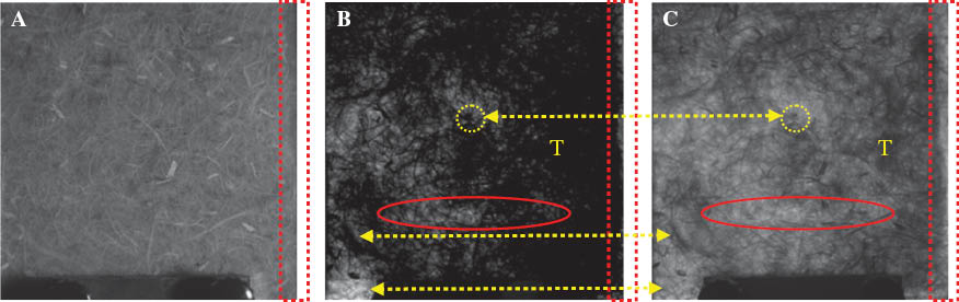 Figure 10 (A) NIR in reflection mode, (B) Image subtraction between (A) and (C), (C) NIR in transmission mode.