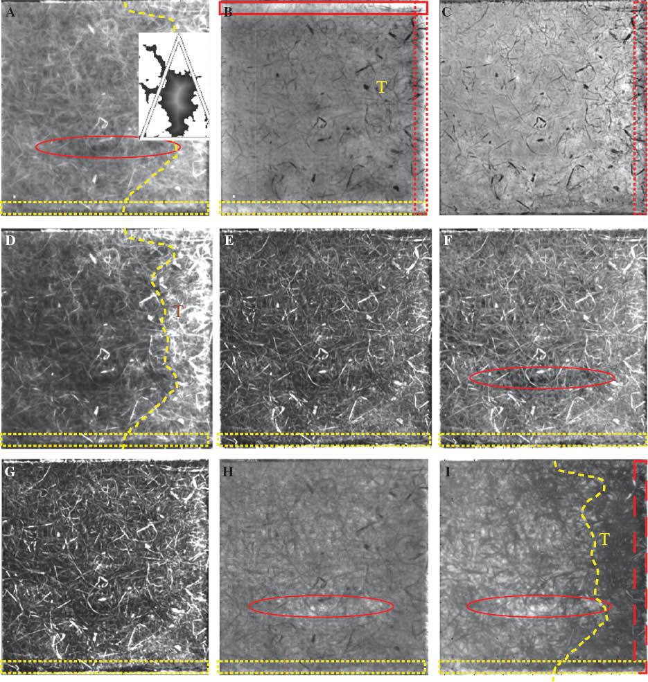 Figure 15 IRT results applying PT: (A) fusion of images: PCT-EOF2 and DT result of Figures 12E, (B) PCT-EOF3, (C) PCT-EOF4, (D) HOST – second order, (E) Kurtogram, (F) skewness, (G) HOST – fifth order, (H) phasegram (f=0.88 mHz), (I) IR correlation.