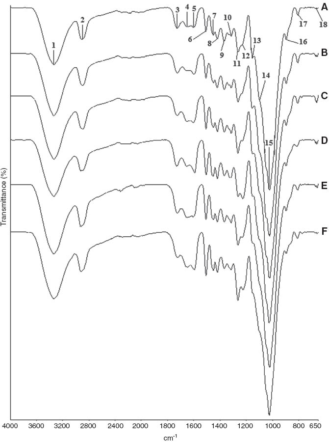 Figure 1 FT-IR spectral changes of Scots pine samples: (A) unaged samples, (B) aged samples, (C) unaged samples degraded by C. puteana, (D) aged samples degraded by C. puteana, (E) unaged samples degraded by P. placenta, and (F) aged samples degraded by P. placenta.