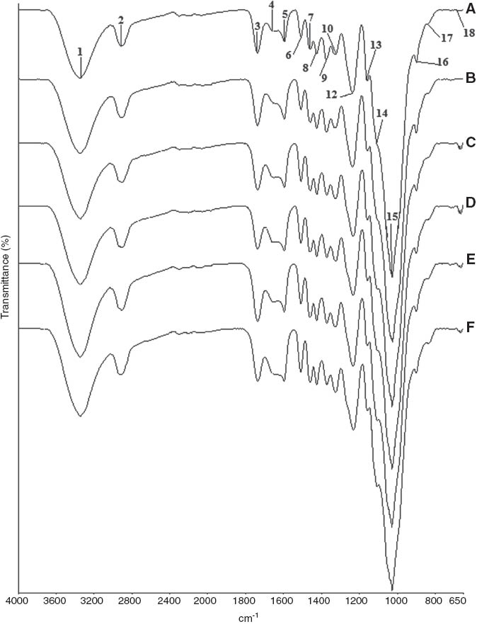 Figure 2 FT-IR spectral changes of beech samples: (A) unaged samples, (B) aged samples, (C) unaged samples degraded by C. puteana, (D) aged samples degraded by C. puteana, (E) unaged samples degraded by P. placenta, and (F) aged samples degraded by P. placenta.
