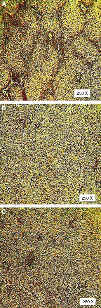 Figure 22 Optical micrographs of (A) Al7075-10%SiC, (B) Al7075-15% SiC, and (C) Al7075- 20% SiC.