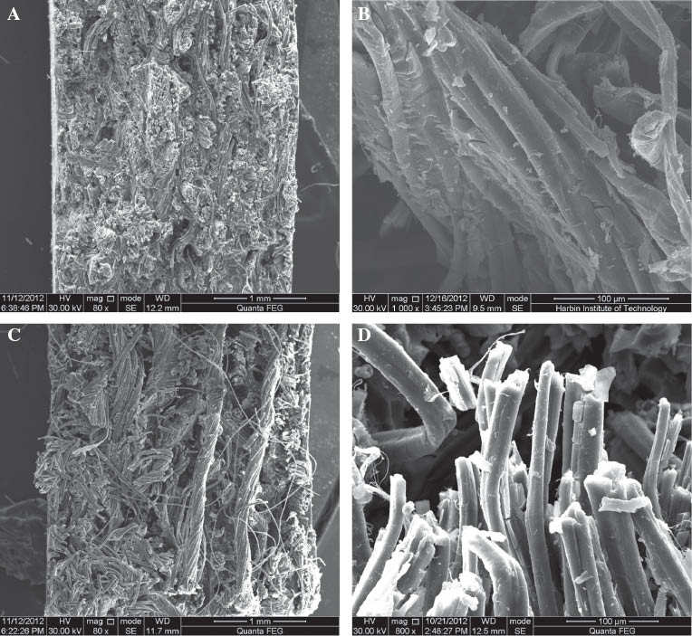 Figure 7 Scanning electron microscope pictures of ramie fiber fabric reinforced phenolic resin (RFRP) fracture surfaces due to tension. (A, B) Un-aged RFRP sample. (C, D) Aged RFRP samples under 98% relative humidity for 6 months.