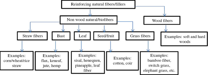 Figure 1: Classification of natural fibers [3].