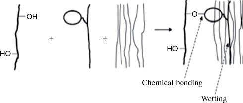 Figure 2: The function of the compatibilizing agent in the lignocellulosic filler-polyolefin composite system [11].