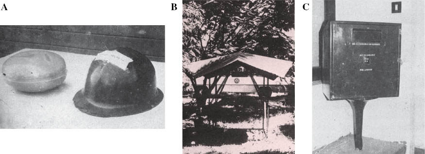 Figure 5: Components made of coir-polyester composites: (A) helmet, (B) roofing, and (C) post-box [16].