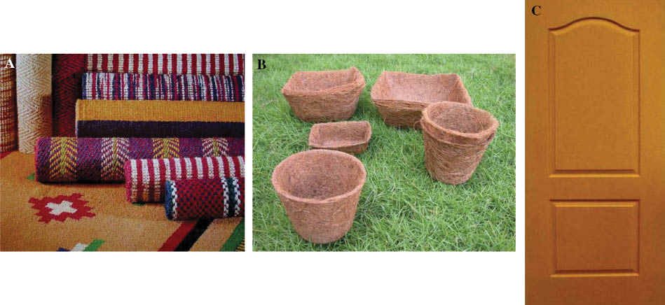 Figure 8: (A) Floor-furnishing materials, (B) gardening articles, and (C) door which are made using coir fiber.
