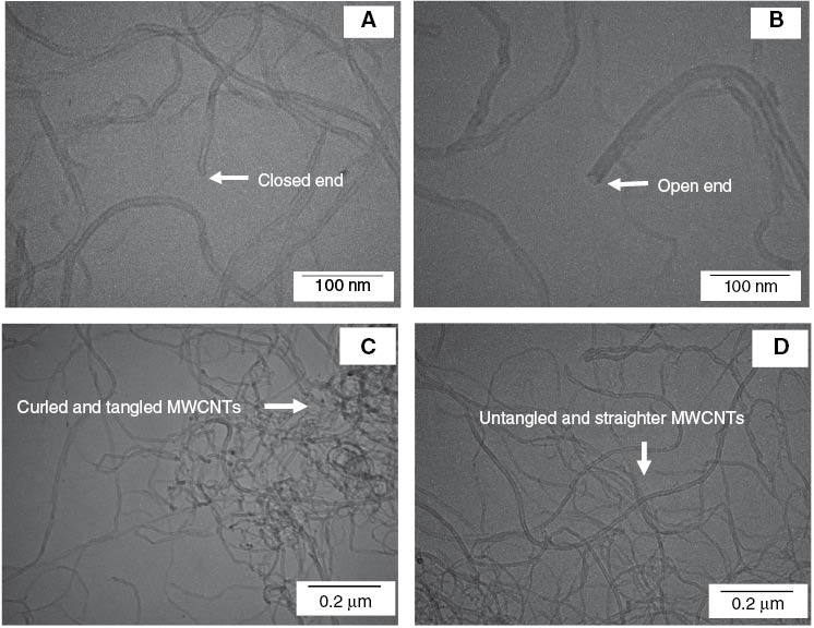Figure 1 TEM images of fragmented (A) pristine MWCNTs and (B) acid-treated MWCNTs, and complete (C) pristine MWCNTs and (D) acid-treated MWCNTs.