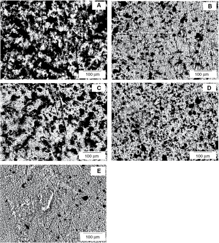Figure 2 Optical microscopic images of the TPNR matrix containing 2 wt% (A) pristine MWCNTs, (B) acid-treated MWCNTs, (C) pristine MWCNTs-Fe3O4, (D) acid-treated MWCNTs-Fe3O4, and (E) Fe3O4 nanoparticles.