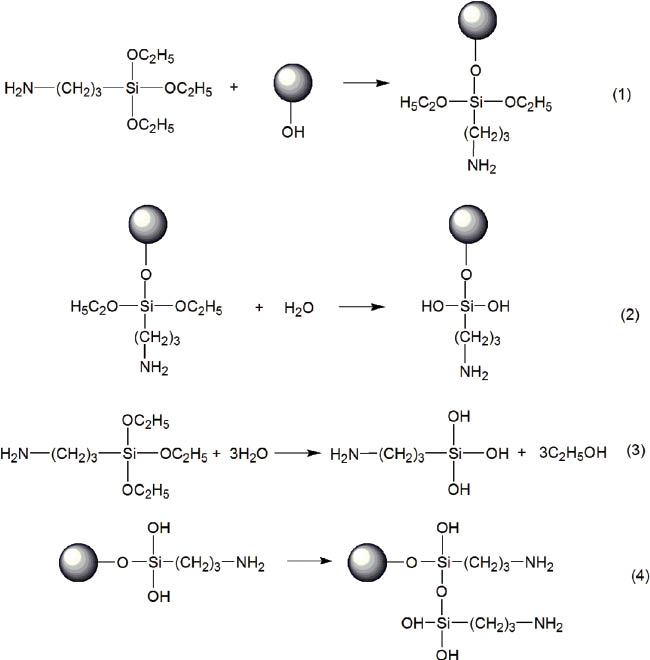 Figure 3: The modification mechanism of diamond with KH550 in toluene solvent.