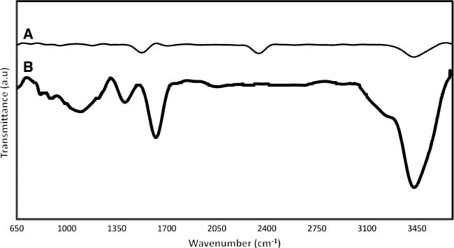 Figure 2: FTIR spectra of (A) as-received MWCNTs and (B) 2-h 10.0 m HNO3 treatment at 80°C.