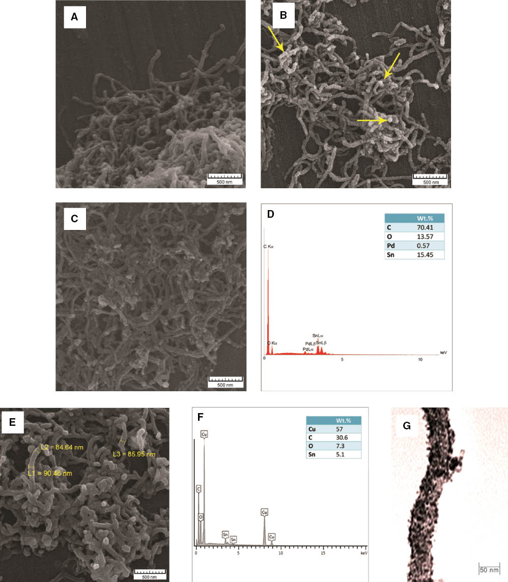 Figure 3: SEM micrographs of (A) as-received MWCNTs, (B) sensitized MWCNTs, (C) activated MWCNTs, (E) copper-coated MWCNTs. EDX spectrum of (D) activated MWCNTs and (F) copper-coated MWCNTs. (G) TEM observation of a single-coated MWCNT.