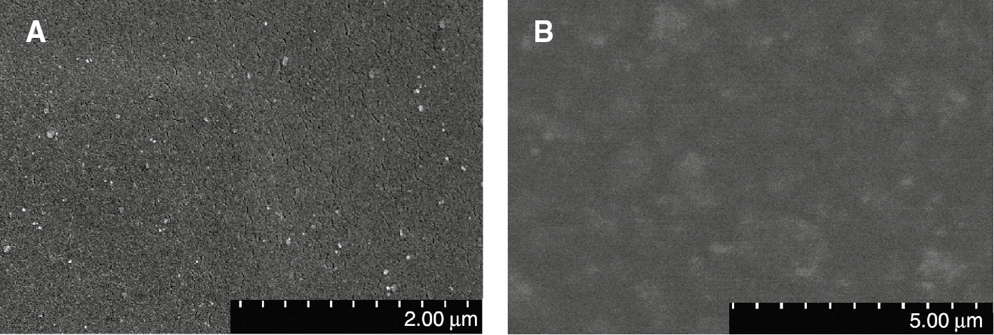 Figure 4: SEM micrographs of fracture surface of SPUA8 (A) and SPUA0 (B) films.