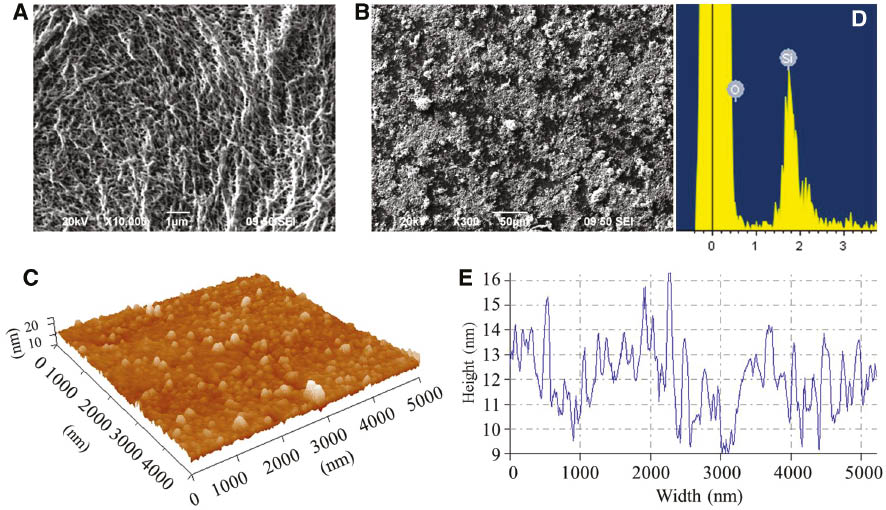 Figure 3: SEM images of (A) PE membrane and (B) PE/SiO2 composite membrane and EDX observation of Si element on PE membrane and AFM images of (C) SiO2 gel nanoparticles, (D) confirmation of Si element deposited on the PE membrane and (E) SiO2 gel particle dimension distribution.