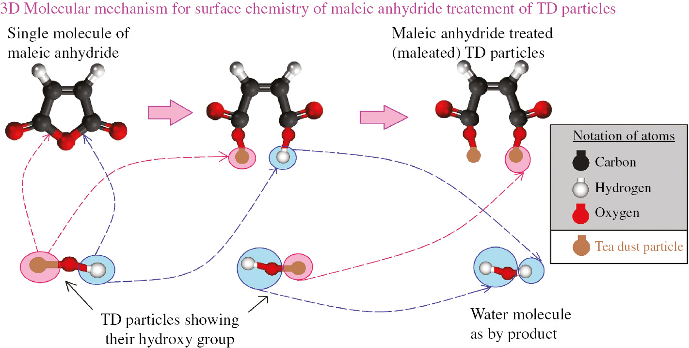 Figure 1: Surface modification of TD particles using MA.