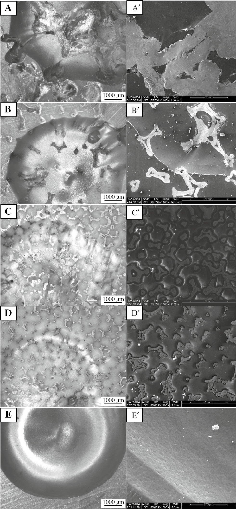 Figure 5: Morphologies of PEEK/Ni foam composites and pure PEEK after erosion-corrosion test with an impact angle of 90° observed using optical microscopy (A–E) and SEM (A′–E′): (A and A′) PEEK/Ni25, (B and B′) PEEK/Ni50, (C and C′) PEEK/Ni100-1, (D and D′) PEEK/Ni100-2, and (E and E′) PEEK.