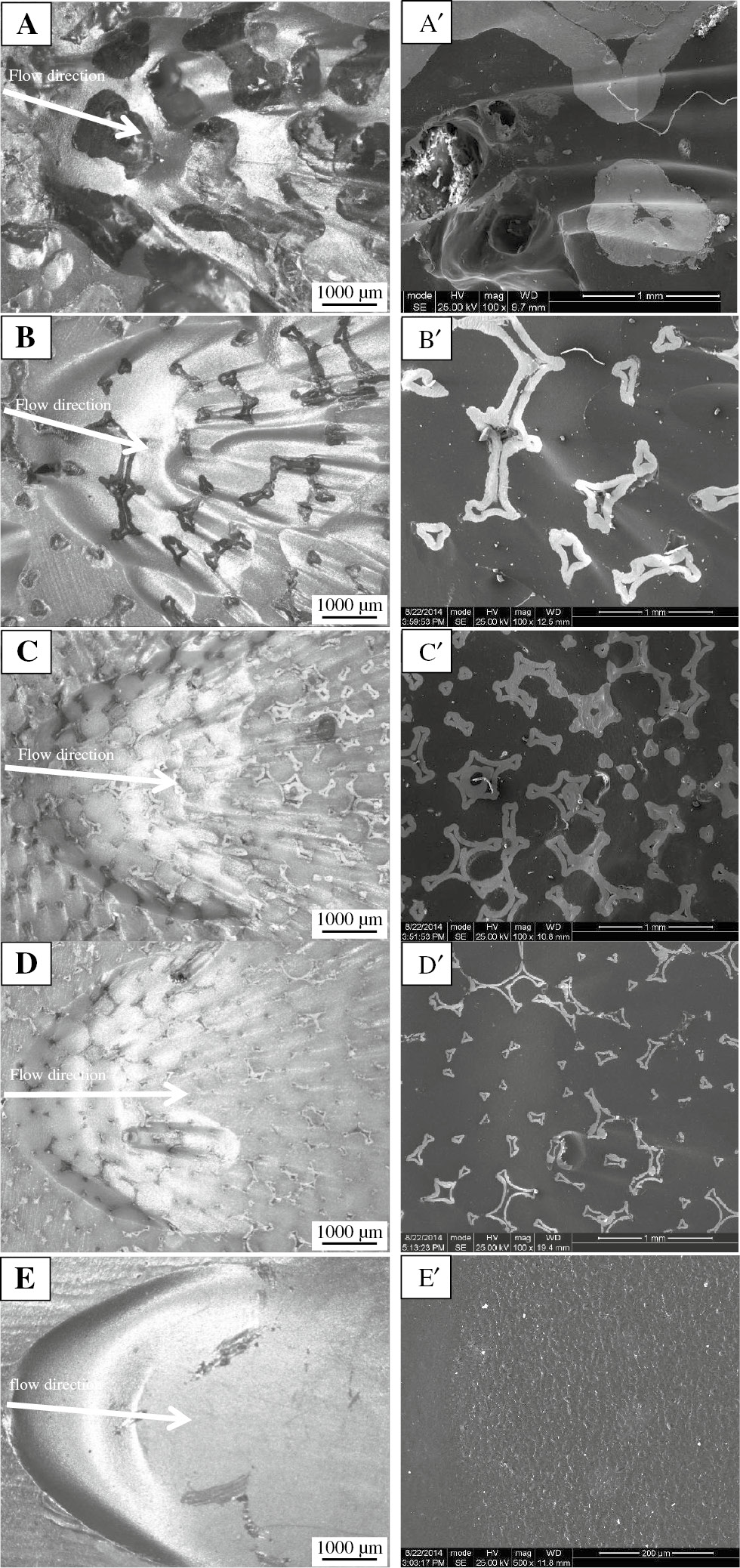 Figure 7: Morphologies of PEEK/Ni foam composites and pure PEEK after erosion-corrosion test with an impact angle of 30° observed using optical microscopy (A–E) and SEM (A′–E′): (A and A′) PEEK/Ni25, (B and B′) PEEK/Ni50, (C and C′) PEEK/Ni100-1, (D and D′) PEEK/Ni100-2, and (E and E′) PEEK.
