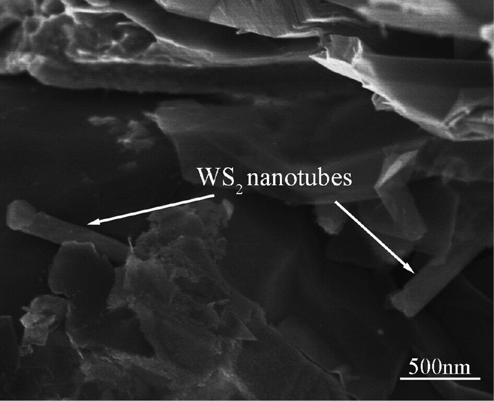 Figure 4: Scanning electron microscopy (SEM) image of fracture morphology of Cu-WS2-graphite-multi-wall WS2 nanotubes (Cu-WS2-G-WSNTs).