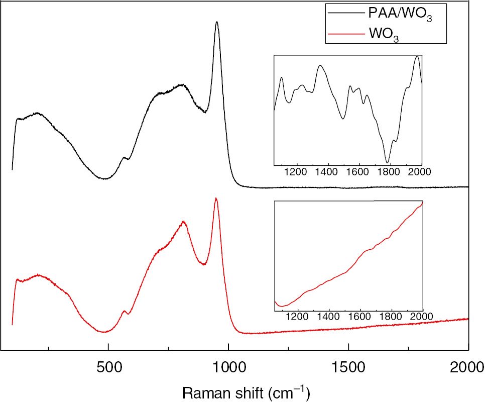 Figure 1: Raman spectra of the WO3 and PAA/WO3 films.