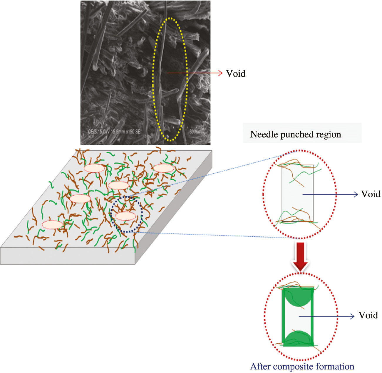 Figure 8: Schematic diagrams along with the SEM micrograph of the specimen of void formation with respect to needling density.