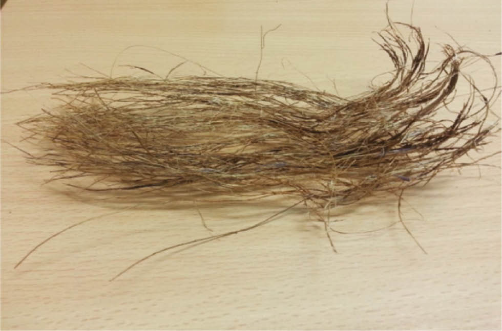 Figure 1: Extracted date palm fibers after cleaning.