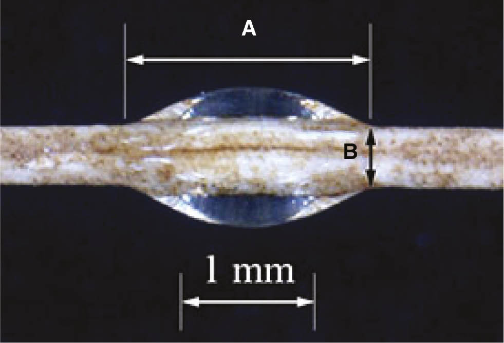 Figure 3: Enlarged image of epoxy microdroplet on DPF surface; (A) embedded length and (B) fiber diameter.