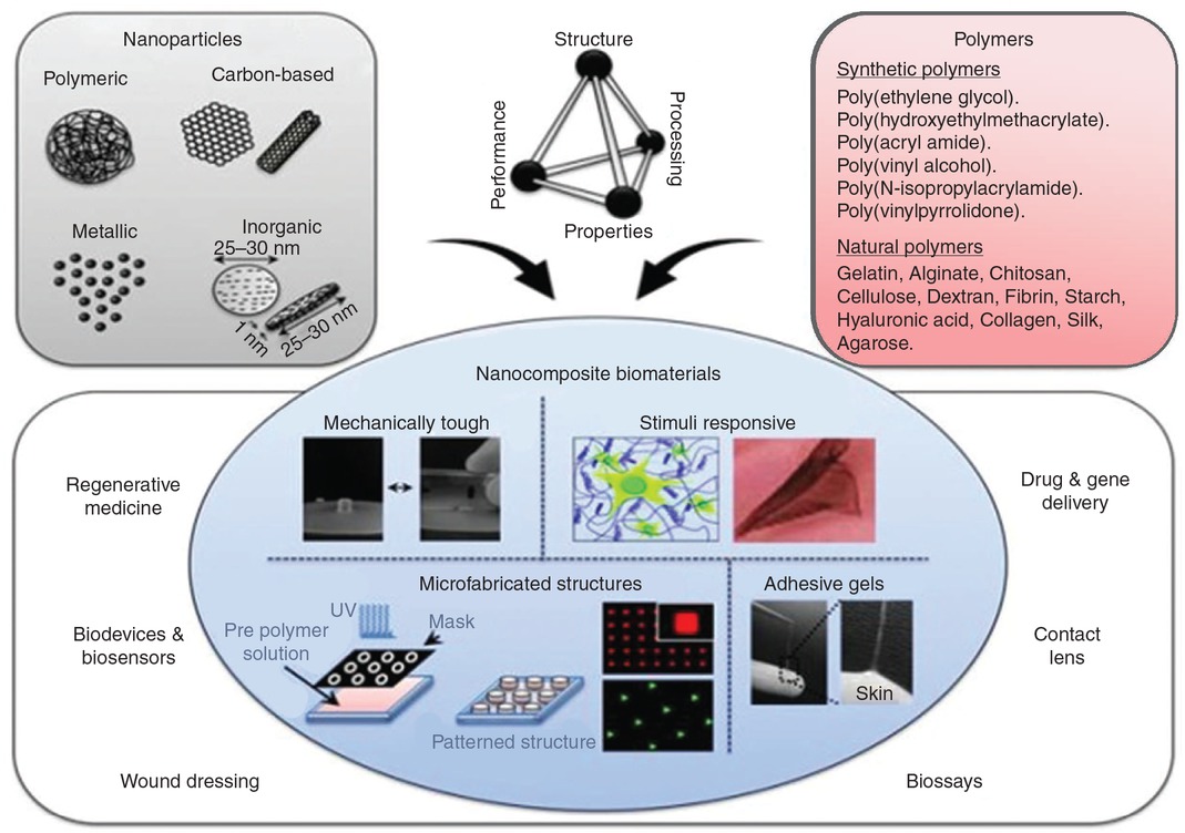 Figure 1 The nanocomposite hydrogels for biomedical applications. Adapted from Ref. [2], Copyright (2013), with permission from John Wiley & Sons, Inc.