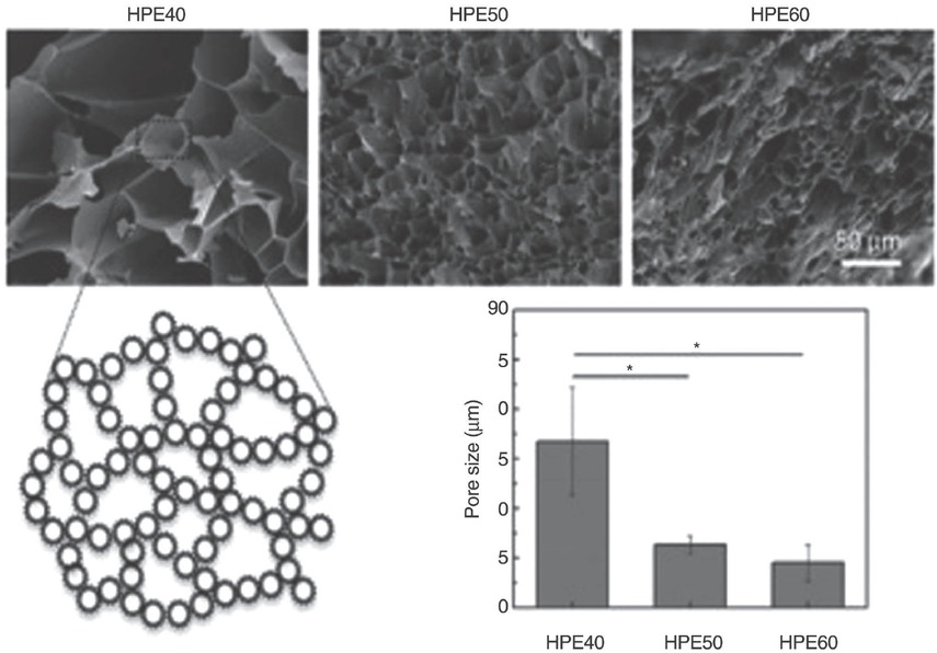 Figure 7 The effect of HPE macromolecule concentration on the microstructure of freeze-dried hydrogel network evaluated using SEM. Adapted with permission from Ref. [20], Copyright (2013) American Chemical Society.