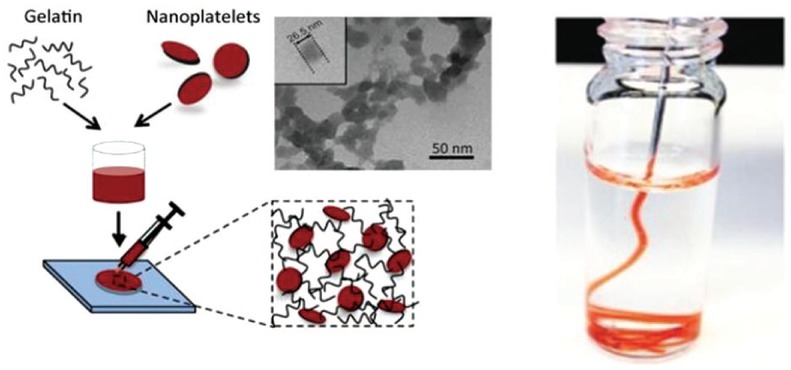 Figure 13 The scheme showing the preparation of the nanocomposite gels and injection of nanocomposite hydrogel through a surgical needle. The TEM image shows the size of the silicate nanoparticle. This is an unofficial adaptation of Ref. [38] that appeared in an ACS publication. ACS has not endorsed the content of this adaptation or the context of its use.