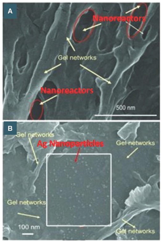 Figure 20 The SEM of (A) Pure hydrogel and (B) silver nanoparticle grown in crosslinked hydrogel network. Reprinted from Ref. [50], Copyright (2006), with permission from Elsevier.