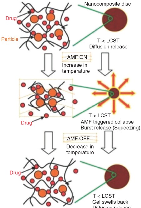 Figure 22 The remote controlled pulsatile drug release from a magnetic hydrogel nanocomposite. A schematic of AMF-induced heating, collapse and squeezing effects. Reproduced from Ref. [25] with the permission of The Royal Society of Chemistry.