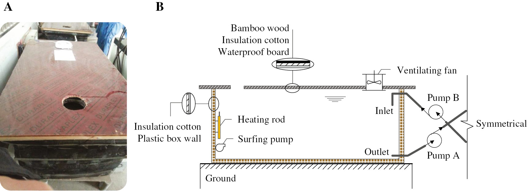 Figure 3: Automatic wet-dry cycling tanks. (A) Overview and (B) Schematic of the inner structure.