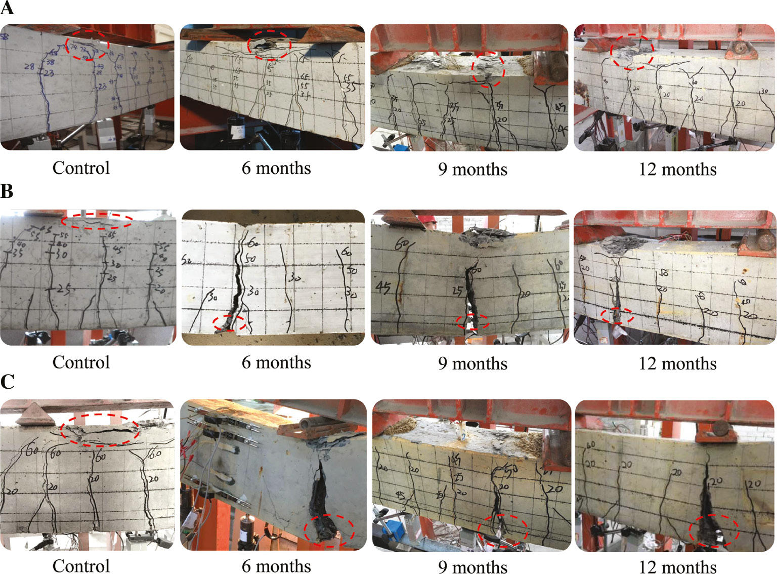Figure 5: Typical failure modes of beams. (A) Steel bars RC beams, (B) BFRP bars RC beams and (C) SFCBs RC beams.