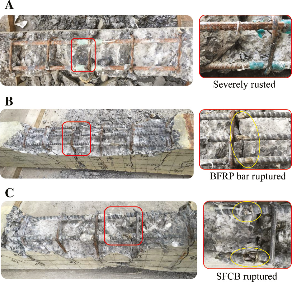 Figure 6: Surface conditions of tension reinforcements of beams after 12 months of exposure. (A) Steel bars RC beam, (B) BFRP bars RC beam and (C) SFCBs RC beam.