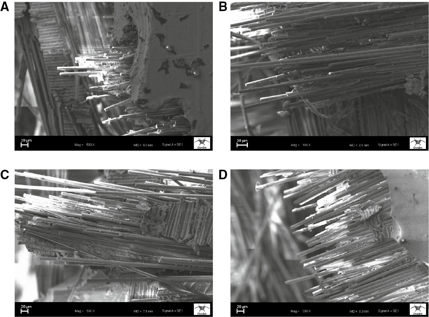 Figure 3: The SEM images of the composite samples. (A) Basalt/epoxy, control, (B) 0.1 wt%, (C) 0.2 wt%, (D) 0.3 wt%.