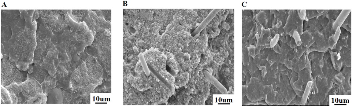 Figure 4 SEM images of (A) DMC/SBR/MVQ (0/0/100), (B) DMC/SBR/MVQ (60/0/100) and (C) DMC/SBR/MVQ (60/25/75).