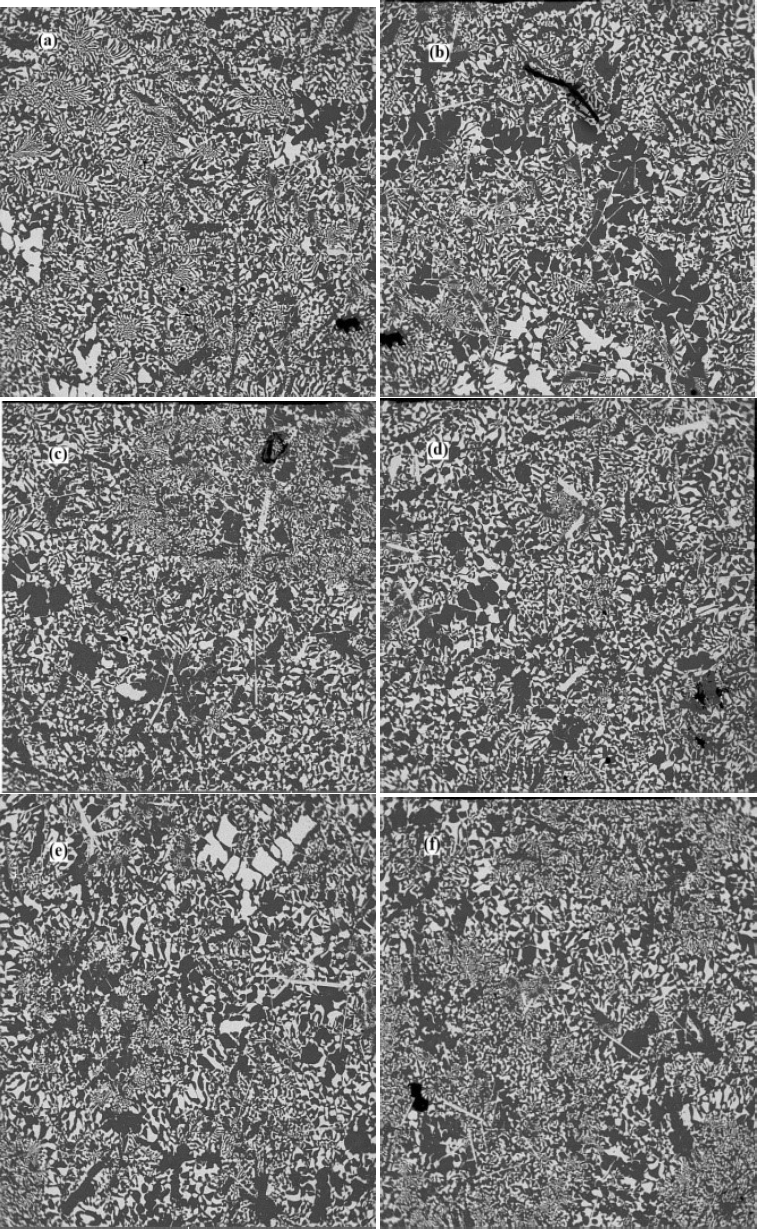 Figure 3 The typical FESEM microstructures of the Al-Al2Cu FGM cylindrical shell at different zones which are (a) 0-2 mm, (b) 2-4 mm, (c) 4-6 mm, (d) 6-8 mm, (e) 8-10 mm, (f) 10-12 mm, from the inner surface along the radial direction.