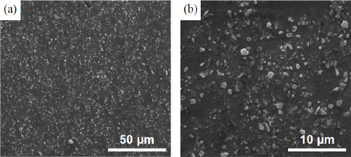 Figure 6 SEM graphs of SiCp/AZ31B composites fabricated by semisolid stirring assisted ultrasonic vibration with 20vol.% SiCp.