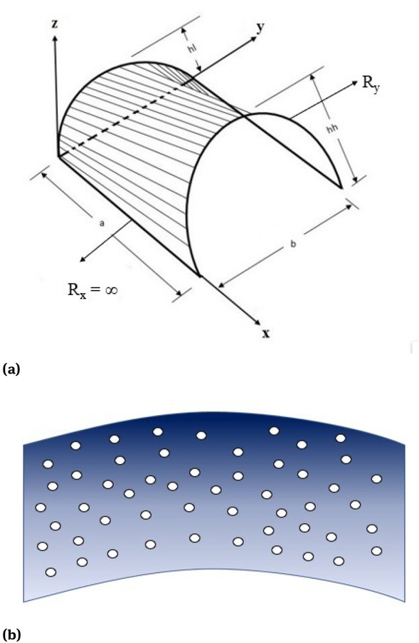 Figure 1 (a) Geometry of conoidal shell and (b) porosities models for even porosity in thickness coordinate