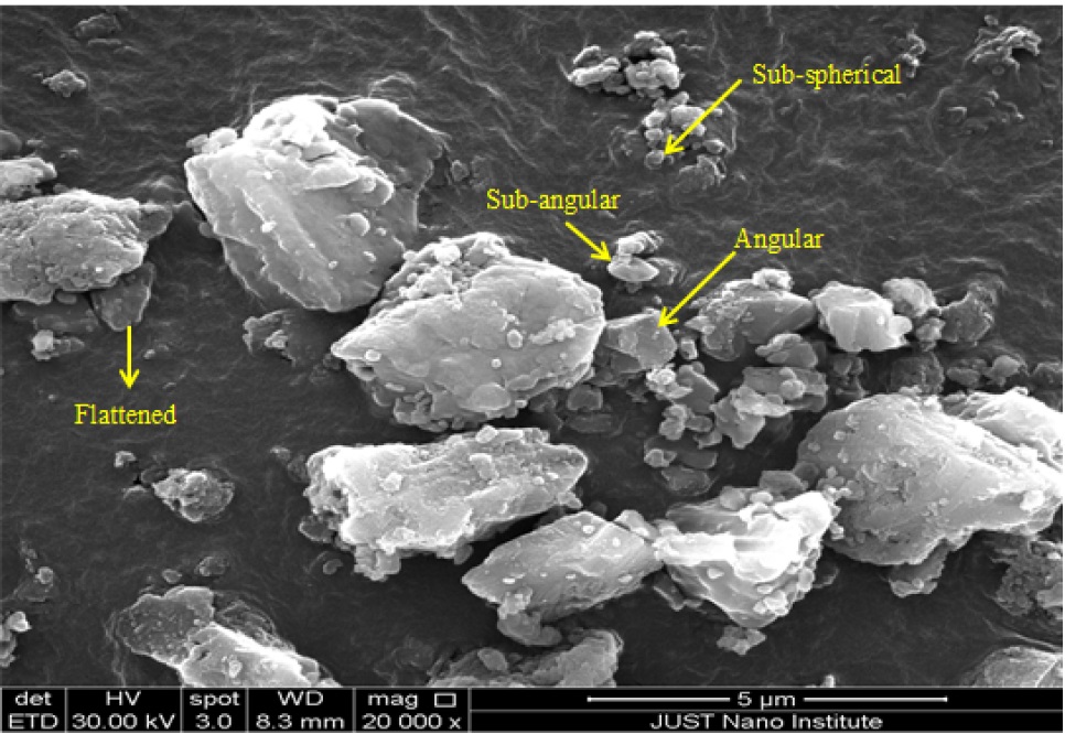 Figure 2 SEM micrograph of irregular shapes and sizes of carbonized Es.