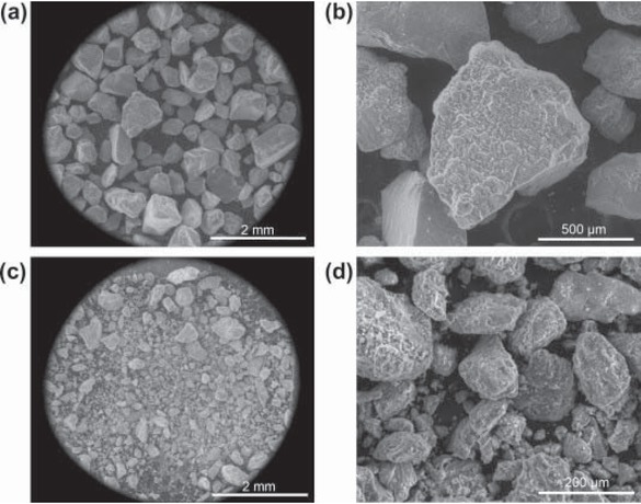 Figure 5 SEM images of iron ore tailings [28]
