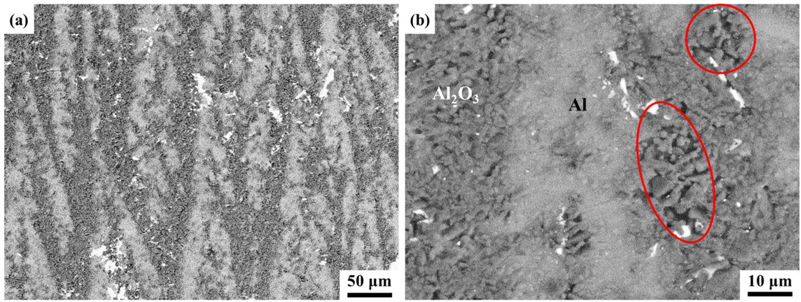 Figure 4 Representative microstructure of the lamellar Al2O3p/Al composite. (a) Low magnification image, (b) High magnification image.