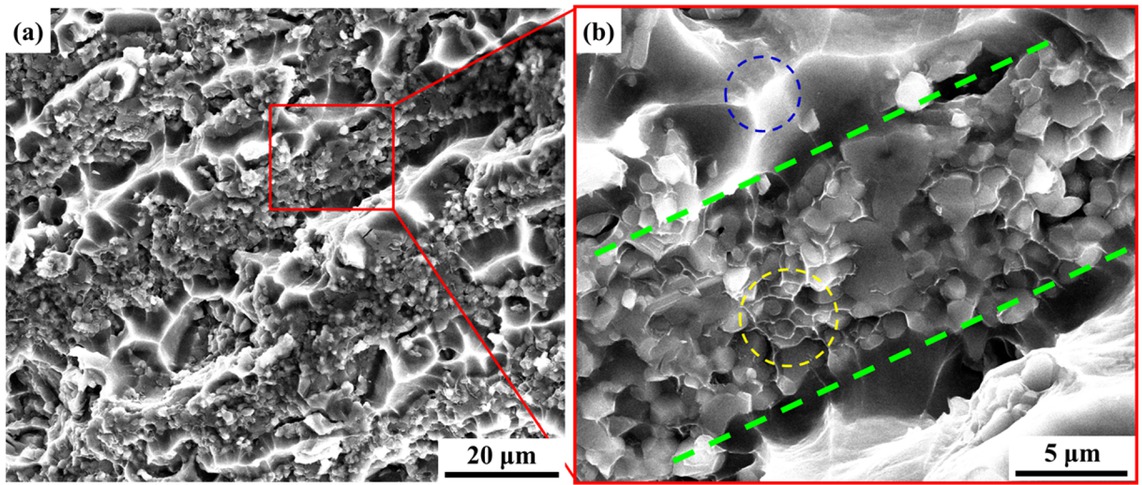 Figure 7 SEM observation of the fracture surface of the lamellar Al2O3p/Al composite. (a) Low magnification image, (b) High magnification of the selected area in (a).