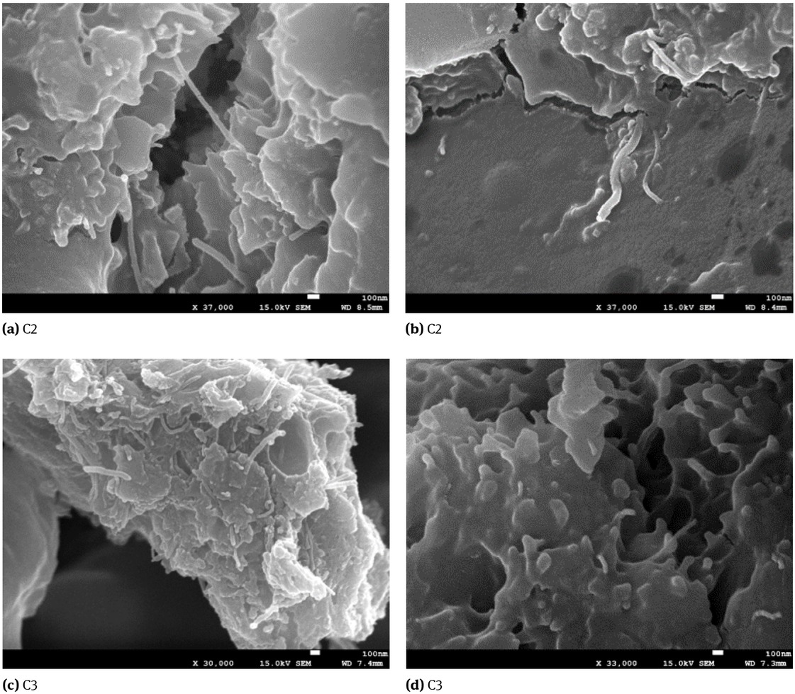 Figure 16 SEM image of CNT-reinforced MDF.