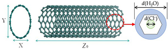 Figure 8 Microstructure diagram of carbon nanotubes