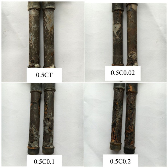 Figure 10 Corrosion condition of reinforcement