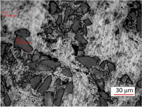 Figure 1 SEM micrograph of the composite.